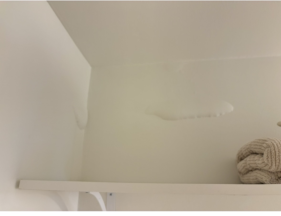 Water damage visible on wall — leak spreading behind finished surfaces